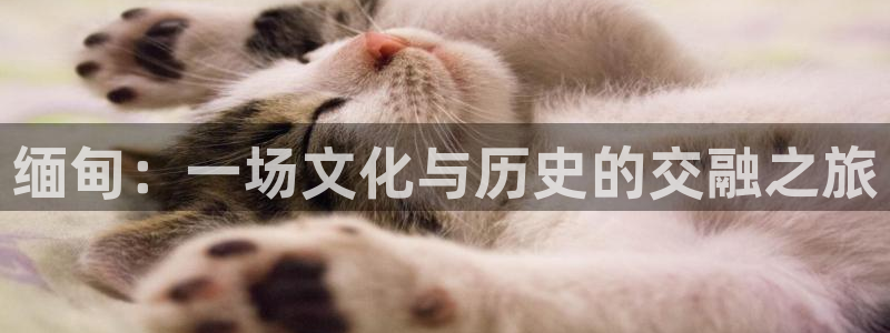 糖心vlog：缅甸：一场文化与历史的交融之旅