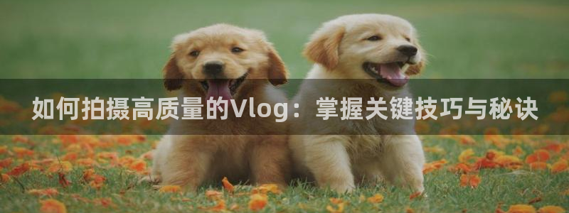 糖心vleg：如何拍摄高质量的Vlog：掌握关键技巧与秘诀