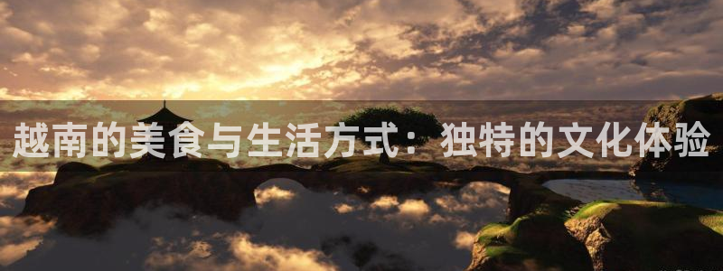 糖心vlog糖心：越南的美食与生活方式：独特的文化体验